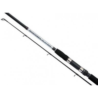 Спиннинг Shimano BASSTERRA AX EV S66 H