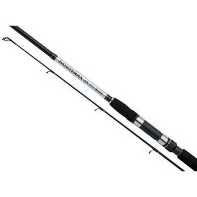Спиннинг Shimano BASSTERRA AX EV S70 H